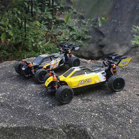 ZD Racing 1/24 SCALE 4WD BUGGY ZD Racing 1/24 SCALE 4WD BUGGY